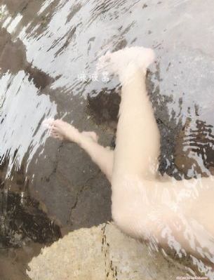 成全在线观看免费观看